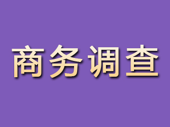 爱辉商务调查